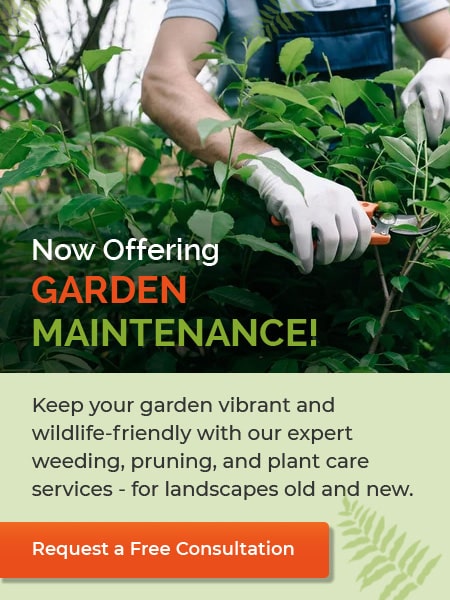 Garden maintenance